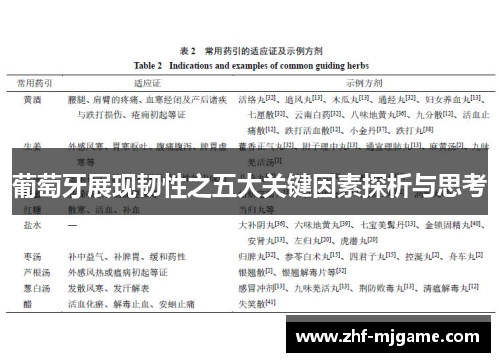 葡萄牙展现韧性之五大关键因素探析与思考 葡萄牙展现韧性之五大关键因素探析与思考