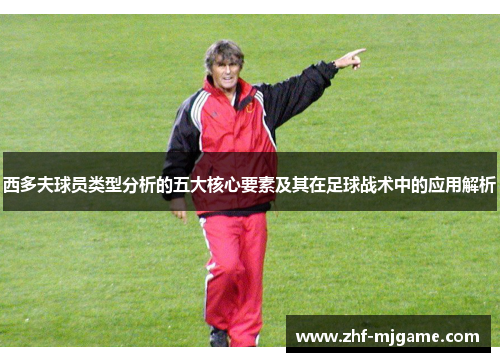 西多夫球员类型分析的五大核心要素及其在足球战术中的应用解析 西多夫球员类型分析的五大核心要素及其在足球战术中的应用解析